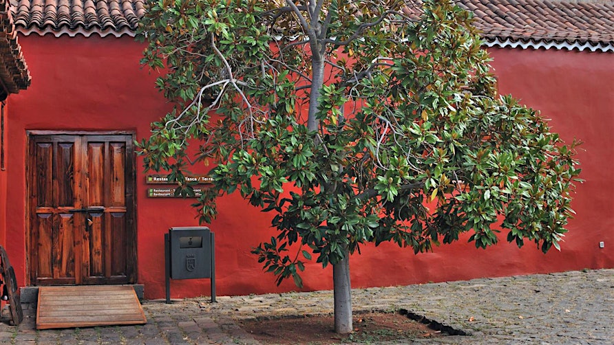 Casa Del Vino La Baranda Teneriffa