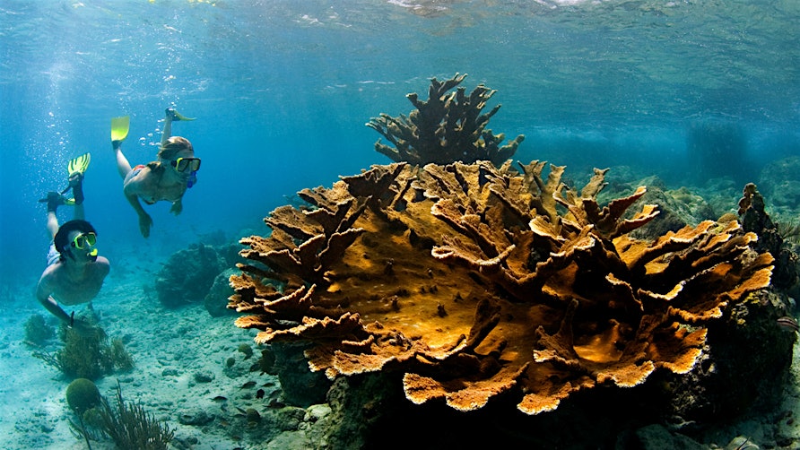 Curaçao