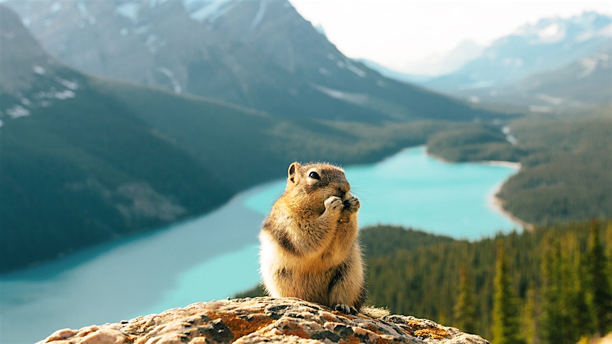 Destination Canada